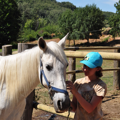 Cursos de etología equina