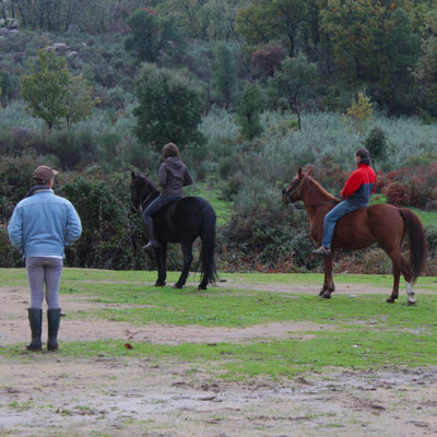 Cursos de iniciación a la equitación
