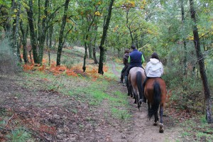 Ruta por dehesa y paraje verato (1h)
