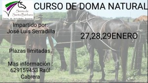 Curso de doma natural en Plasencia @ Centro de Actividades Ecuestre Santa Bárbara