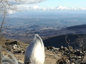 Rutas a las Regaderas @ Las Regaderas